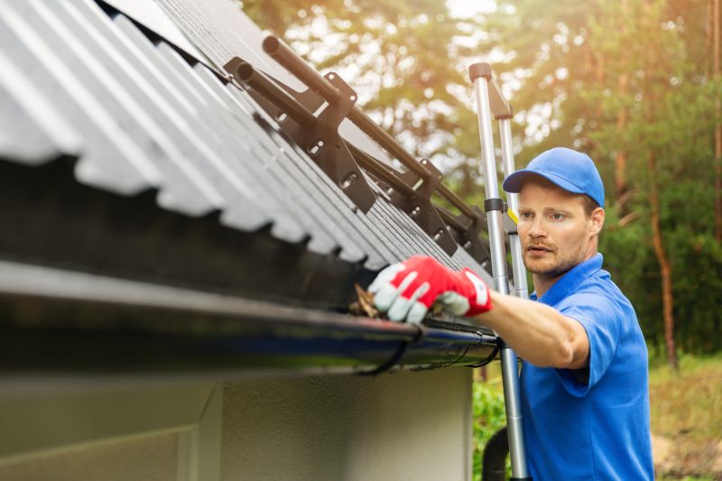 Professional Gutter Cleaning Team